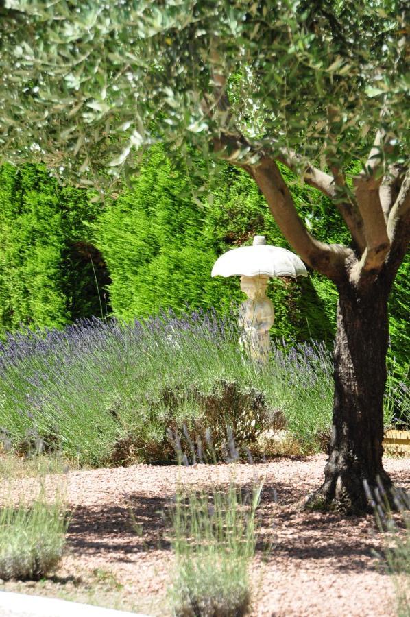Le Jardin Des Amandiers Шаторенар Экстерьер фото