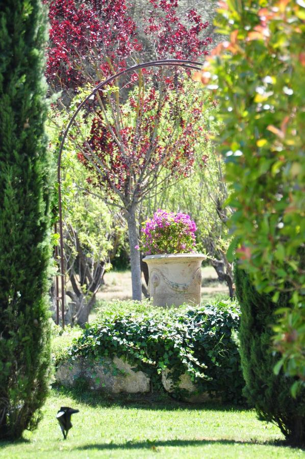 Le Jardin Des Amandiers Шаторенар Экстерьер фото