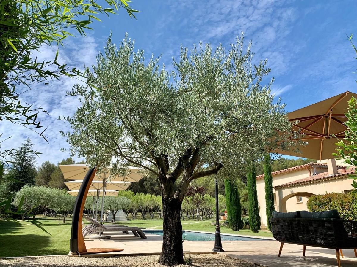 Le Jardin Des Amandiers Шаторенар Экстерьер фото